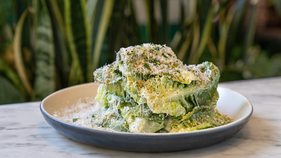 North Italia by null