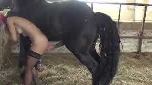 Horse dildo colossal size horse dildo fully anal penetration with cute dutch teen jpg x Teen fucks horse