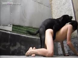 Texas man fucks his female dog zoo xvideos jpg x Man fucked by dog