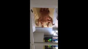 My wife from behind request jpg x Wife from behind