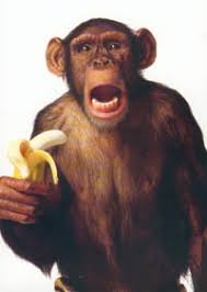 Here's a Banana For Your Baby... (your business) | No Smoke and Mirrors