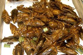 Deep-fried-cockroaches.jpg