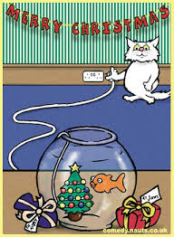 cat-goldfish.jpg