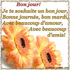 Afficher l'image en taille relle