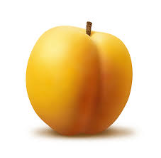 http://t2.gstatic.com/images?q=tbn:oIFeHNOo-jbWAM:http://ladybirds.files.wordpress.com/2007/05/apricot31.jpg