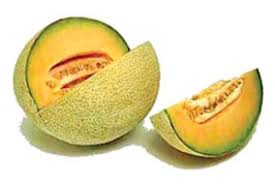 جالب دات نت