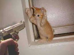 images?q=tbn:wkrCmpNxBNCWcM%3A<a href=