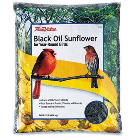 True Value Black Oil Sunflower Bird Seed - 20lb