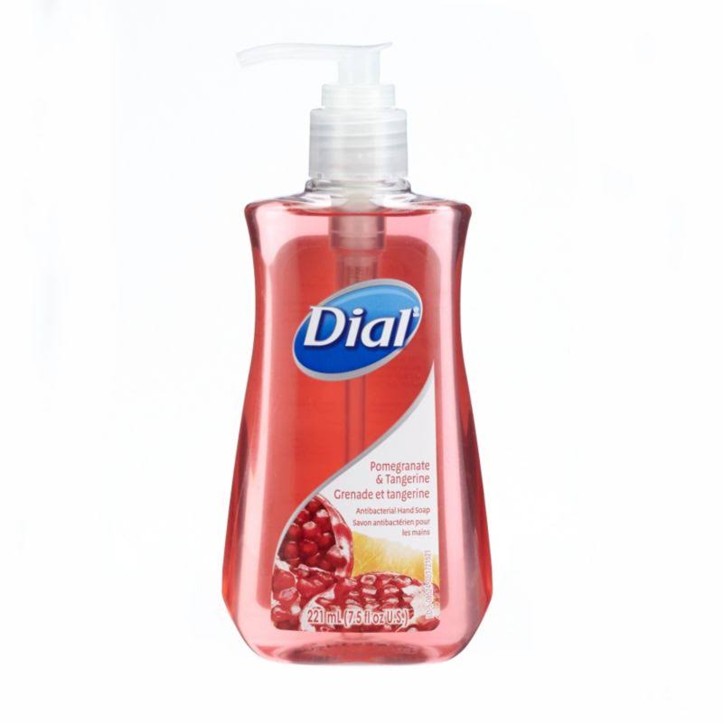 Dial Liquid Hand Soap - Pomegranate & Tangerine, 12pk