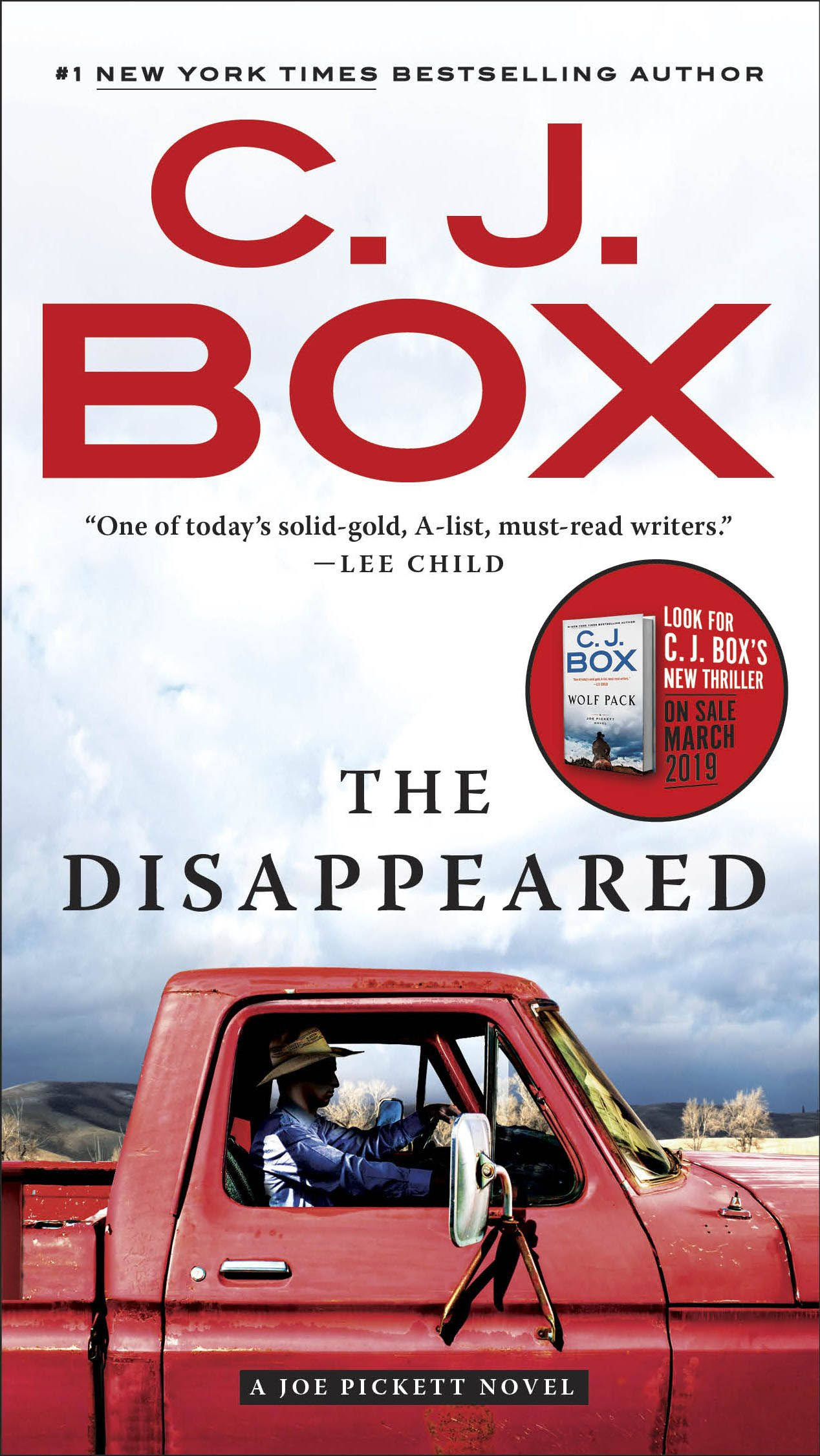 The Disappeared [Book]