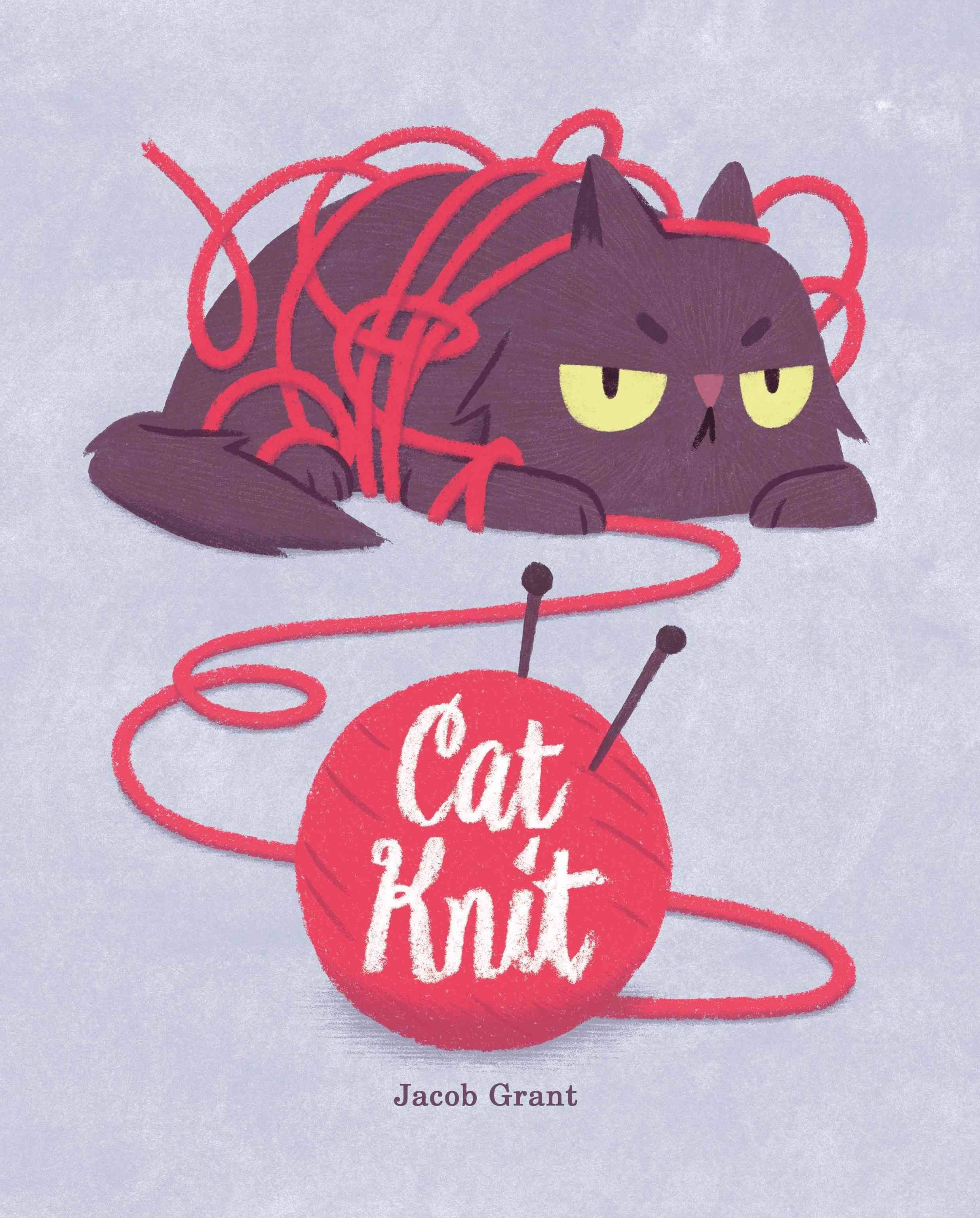 Cat Knit [Book]