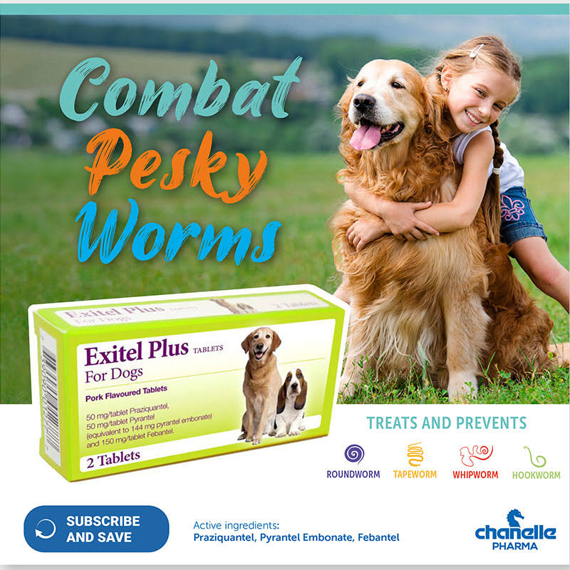 Exitel Plus Flavoured Dog Worming Tablet X1