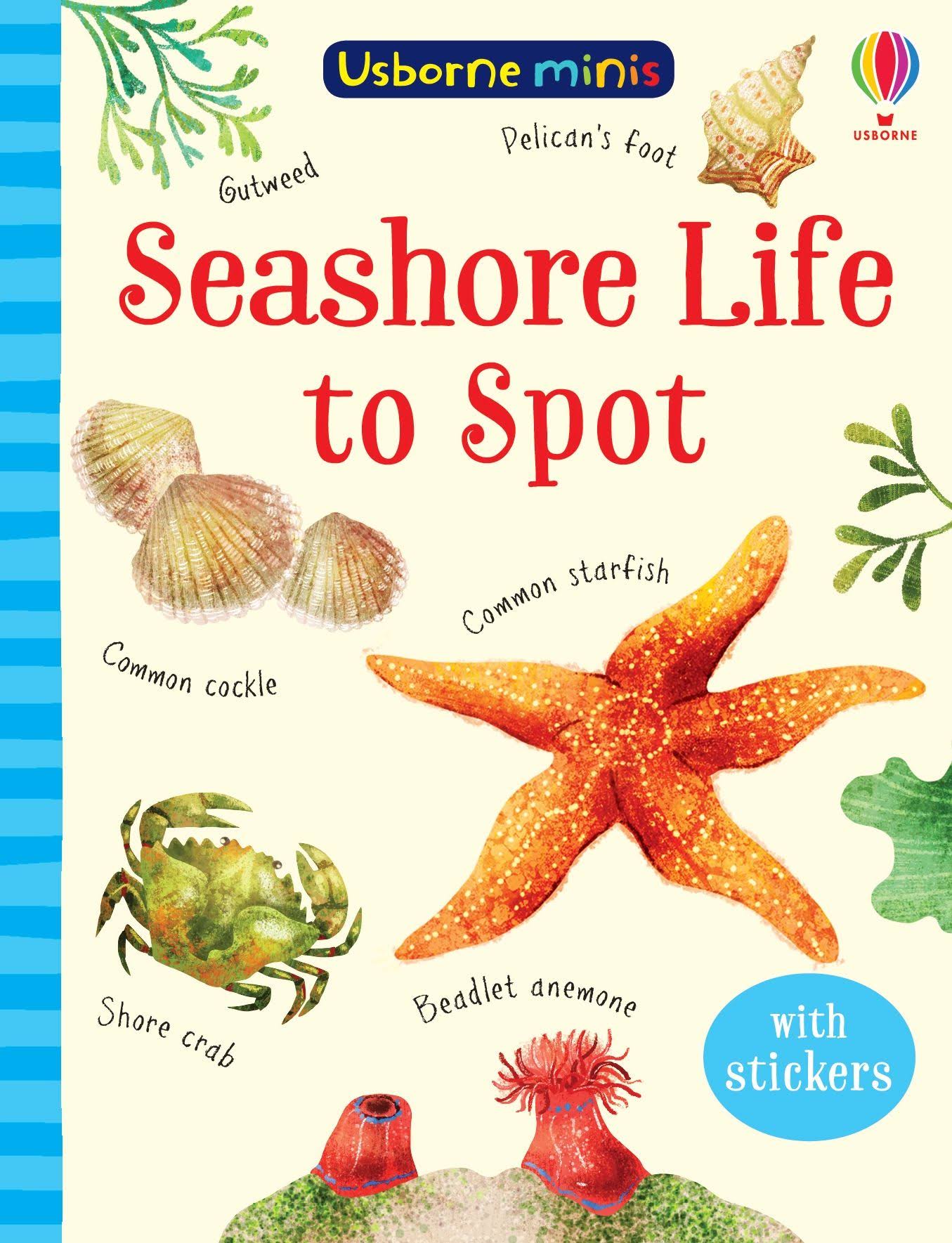 Seashore Life to Spot [Book]