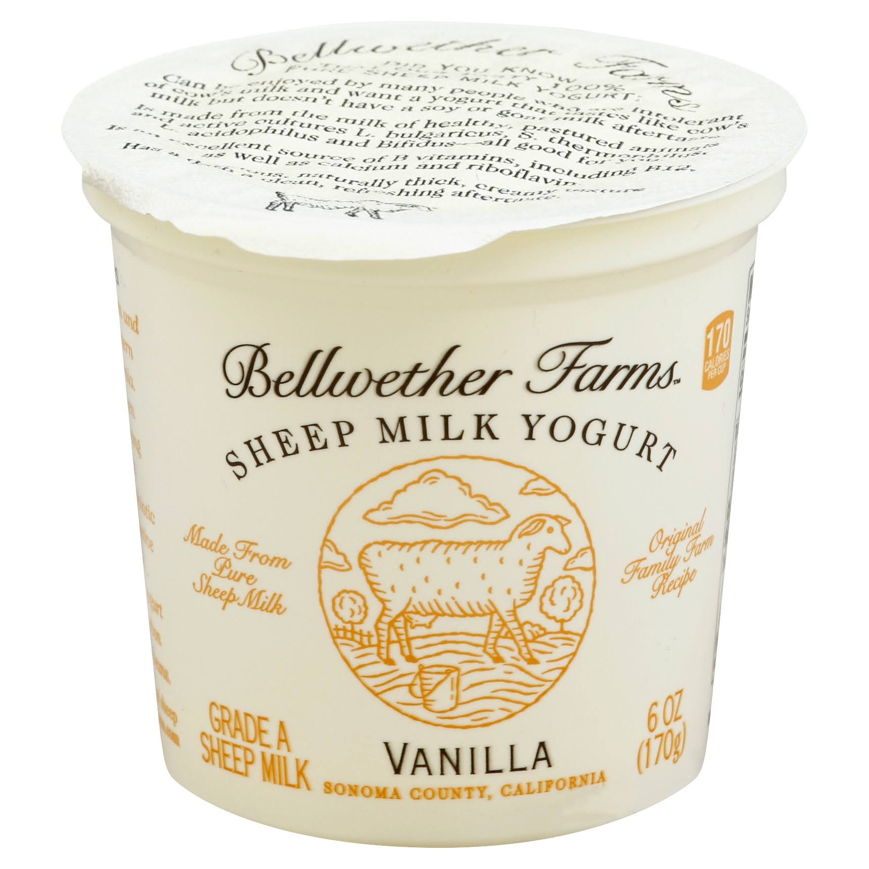 Bellwether Farms Yogurt, Sheep Milk, Vanilla - 6 oz