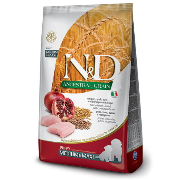Farmina N&D Ancestral Grain Chicken & Pomegranate Dry Dog Food - 26.4lb / Puppy Medium & Maxi