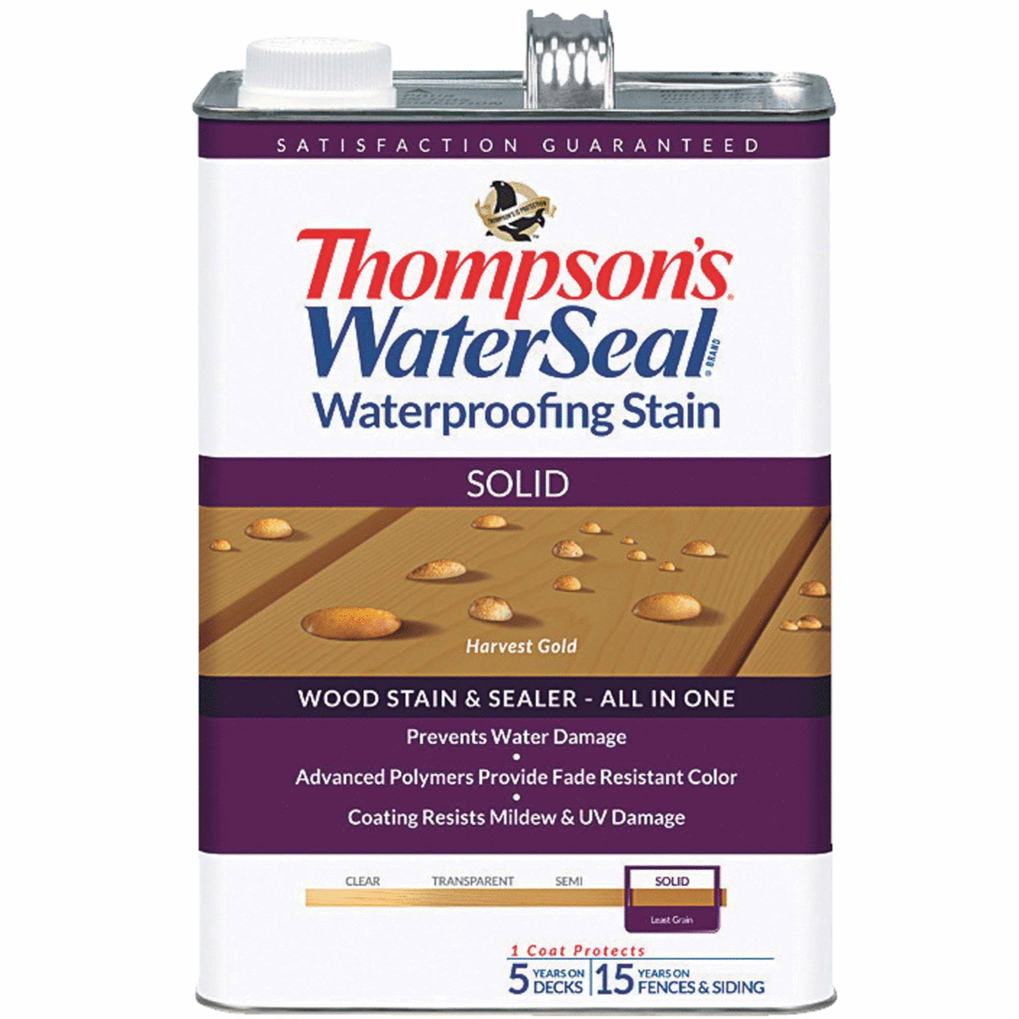 Thompsons WaterSeal Waterproofing Stain - Solid, 1gal