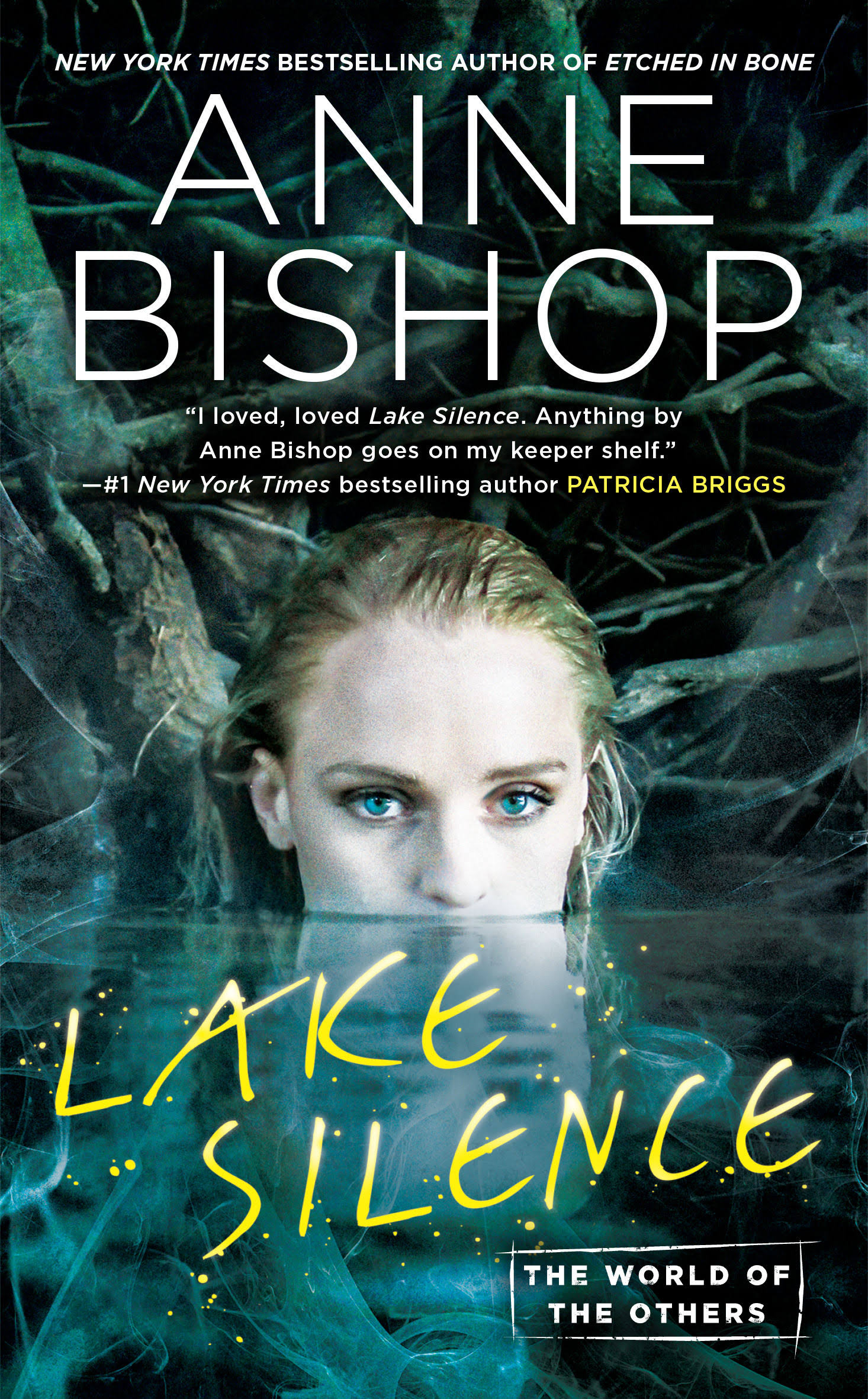 Lake Silence [Book]