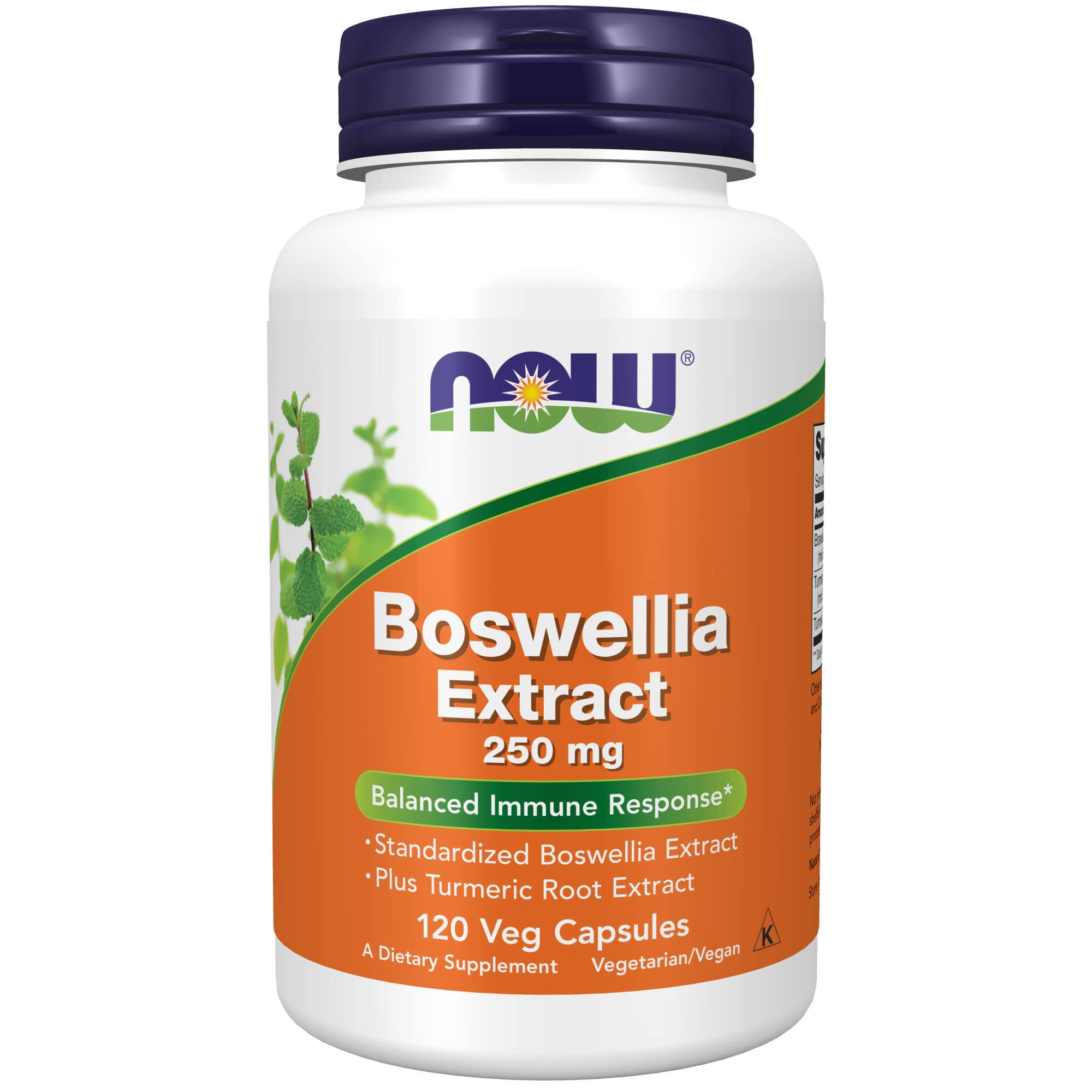Now Foods Boswellia Extract