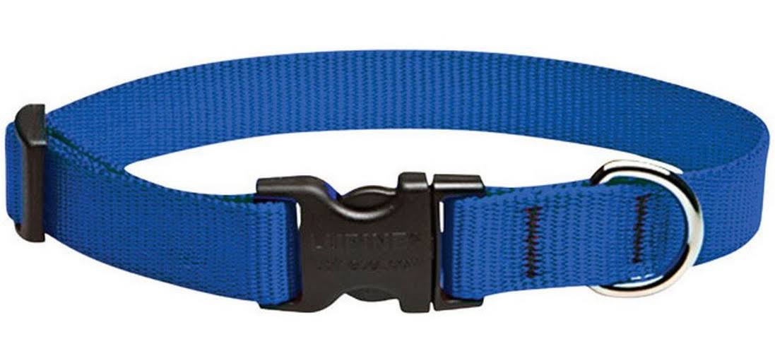 Lupine Adjustable Dog Collar - Blue, 3/4" X 13" to 22"
