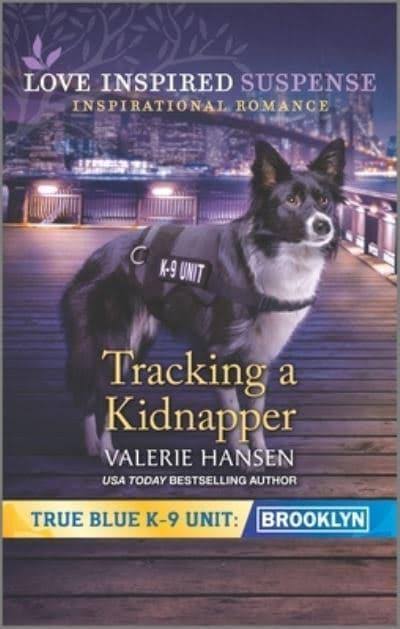 Tracking A Kidnapper by Valerie Hansen