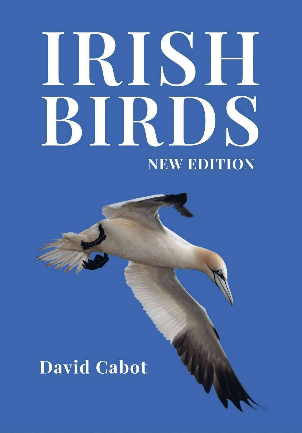 Irish Birds [Book]
