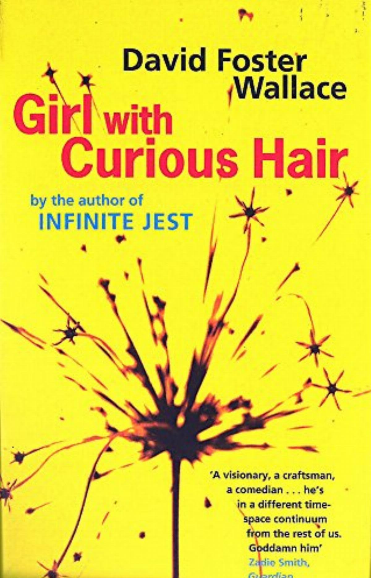 Girl with Curious Hair - David Foster Wallace