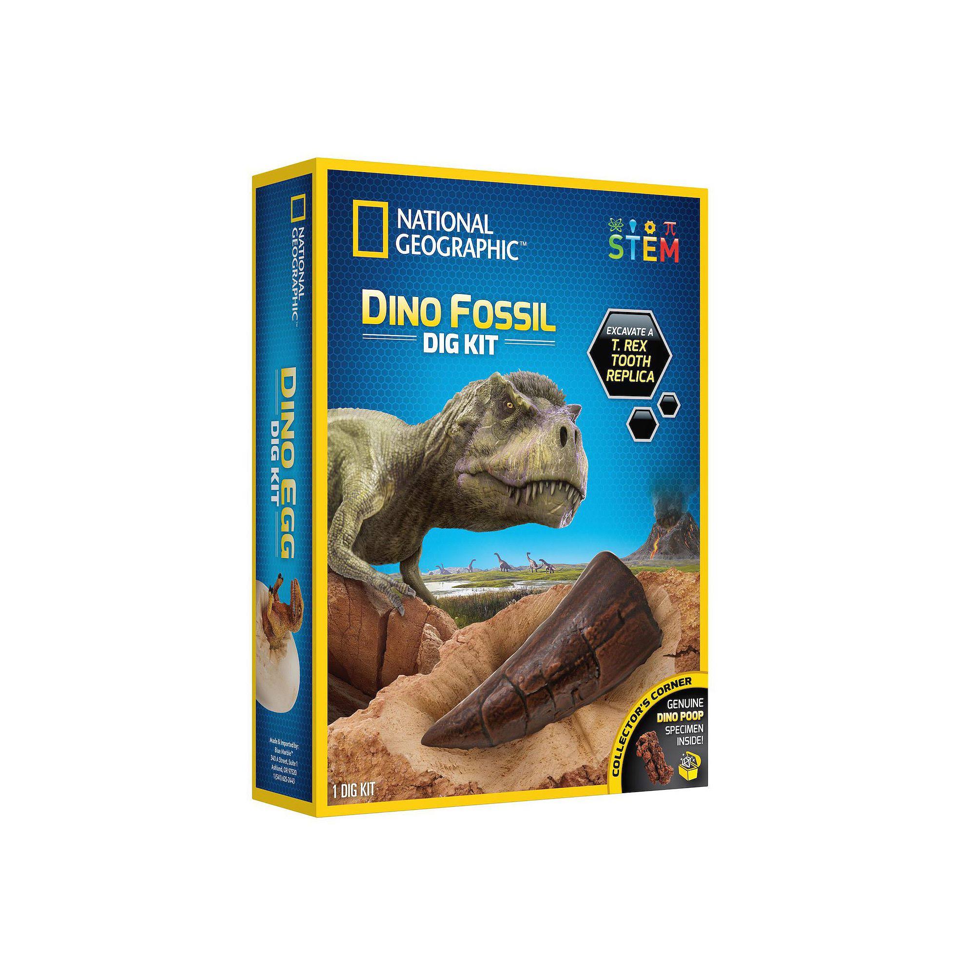 National Geographic Kid's Dino Fossil Dig Kit