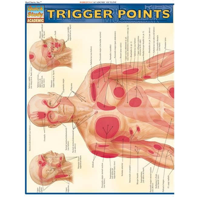 BarCharts Inc 9781423203162 Trigger Points