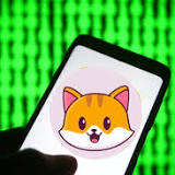 Why Shiba Inu is still set to pop 30% in August