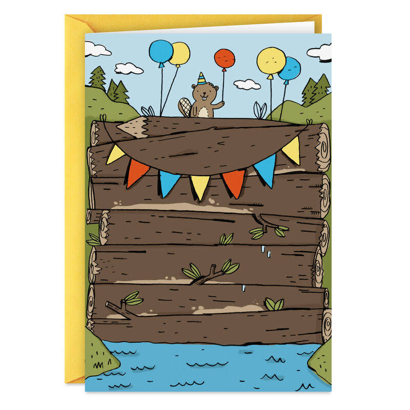 Hallmark Birthday Card, Best Dam Card Funny Birthday Card