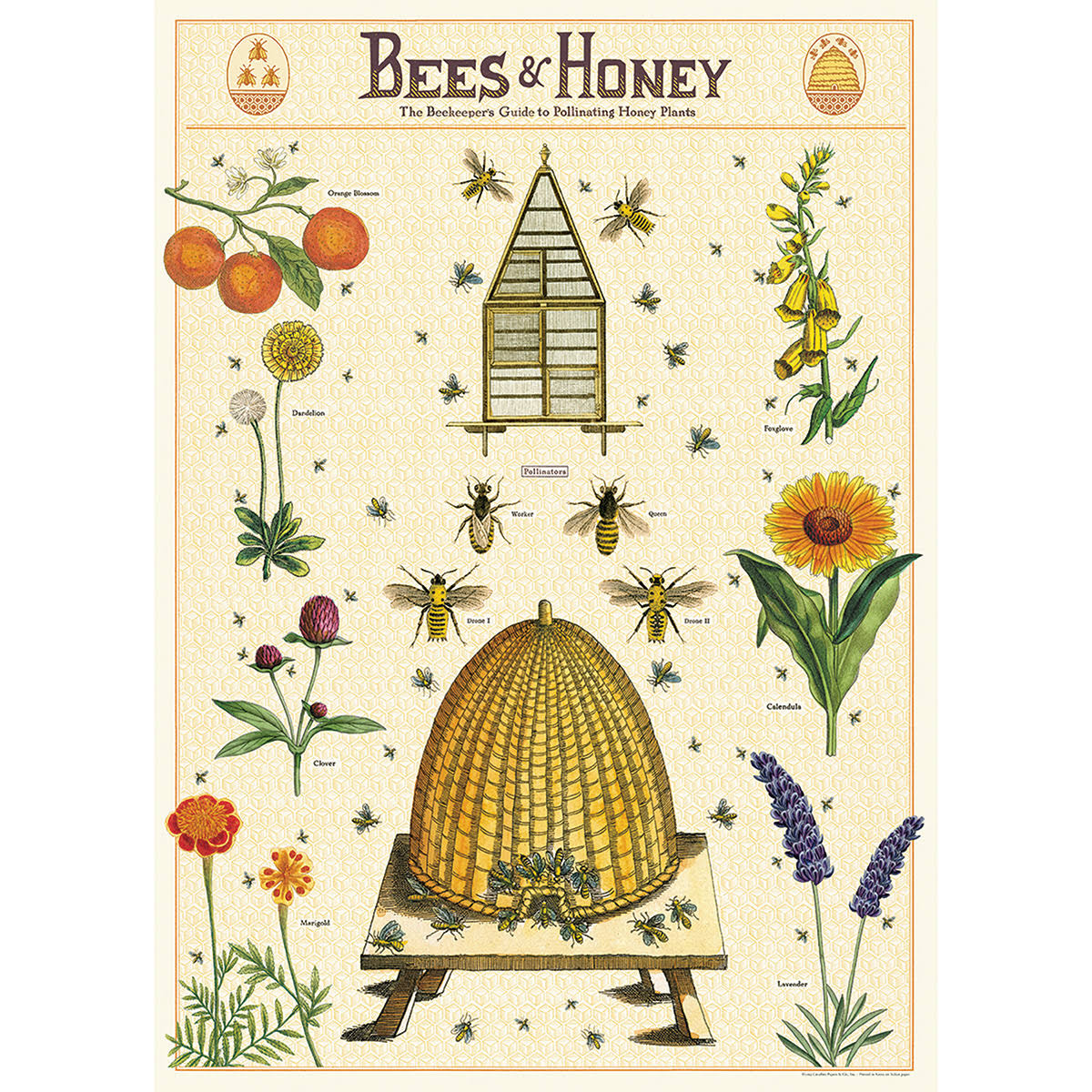 Cavallini & Co. Wrapping Paper - Bees & Honey 2