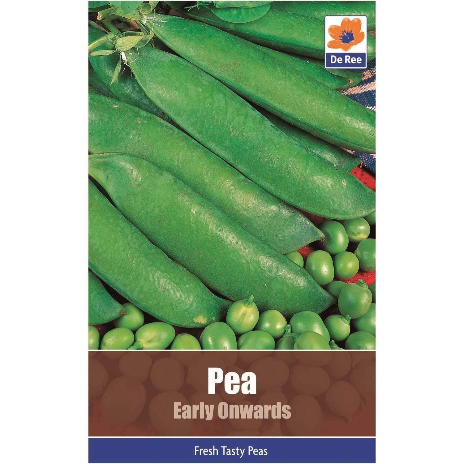 Pea Early Onwards Large Pack (70 Seeds)