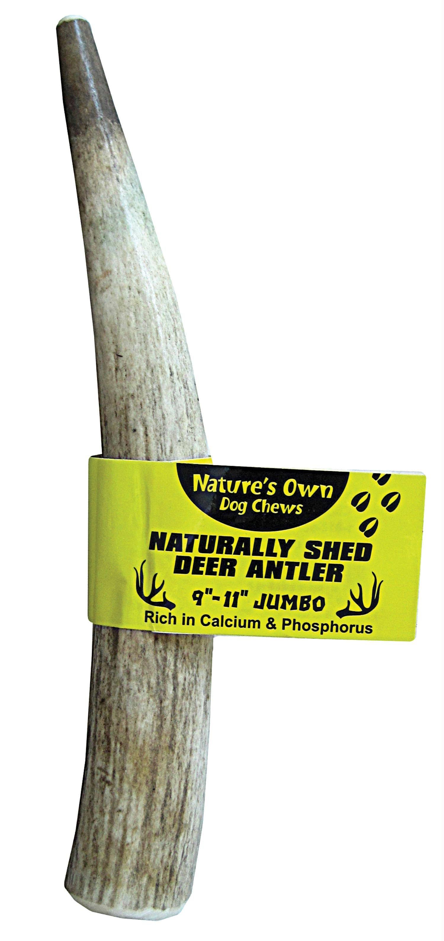 Nature' S Own Naturally Shed Deer Antler Dog Chew