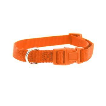 Casual Canine Nylon Dog Collar - Orange - 10-16" Length