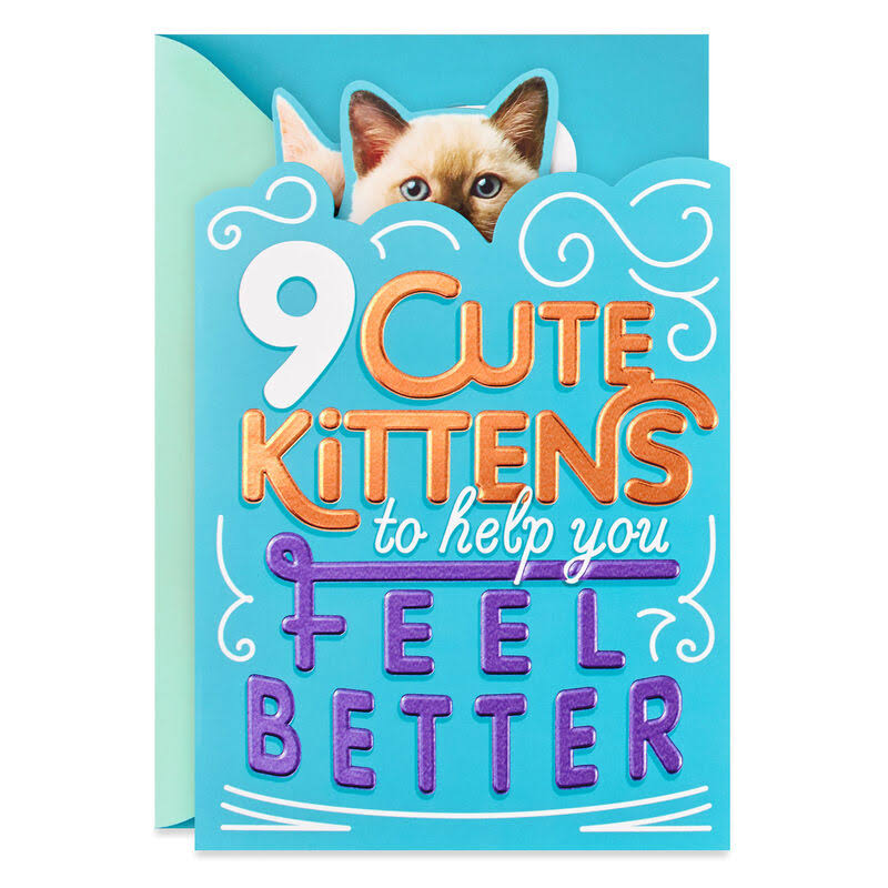 Cute Kittens Funny Get Well Card