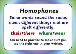 Image result for homophones