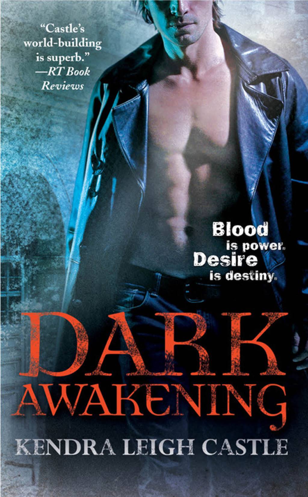Dark Awakening [Book]