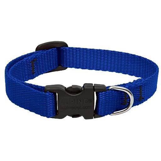 Lupine 1/2-Inch Adjustable Dog Collar - Blue