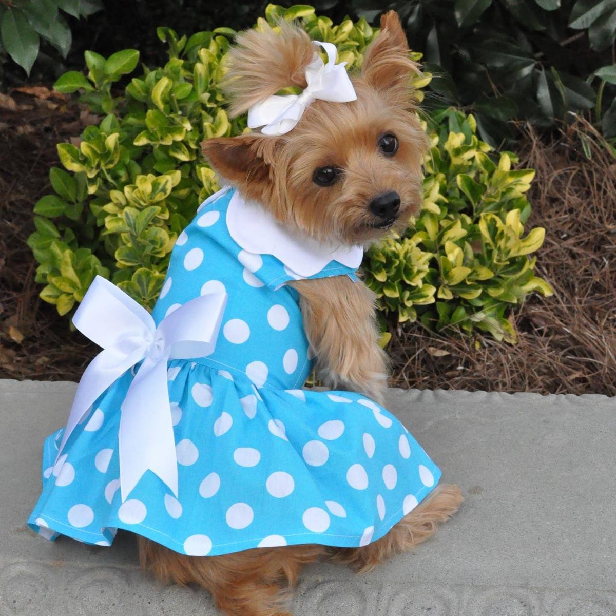 Doggie Design Blue Polka Dot Dog Dress with Matching Leash X-Small