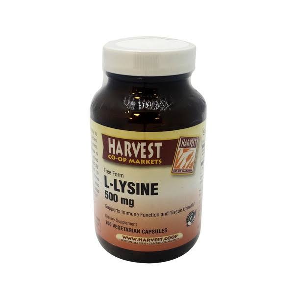 L-Lysine Dietary Supplement, 500 mg - 100 ct