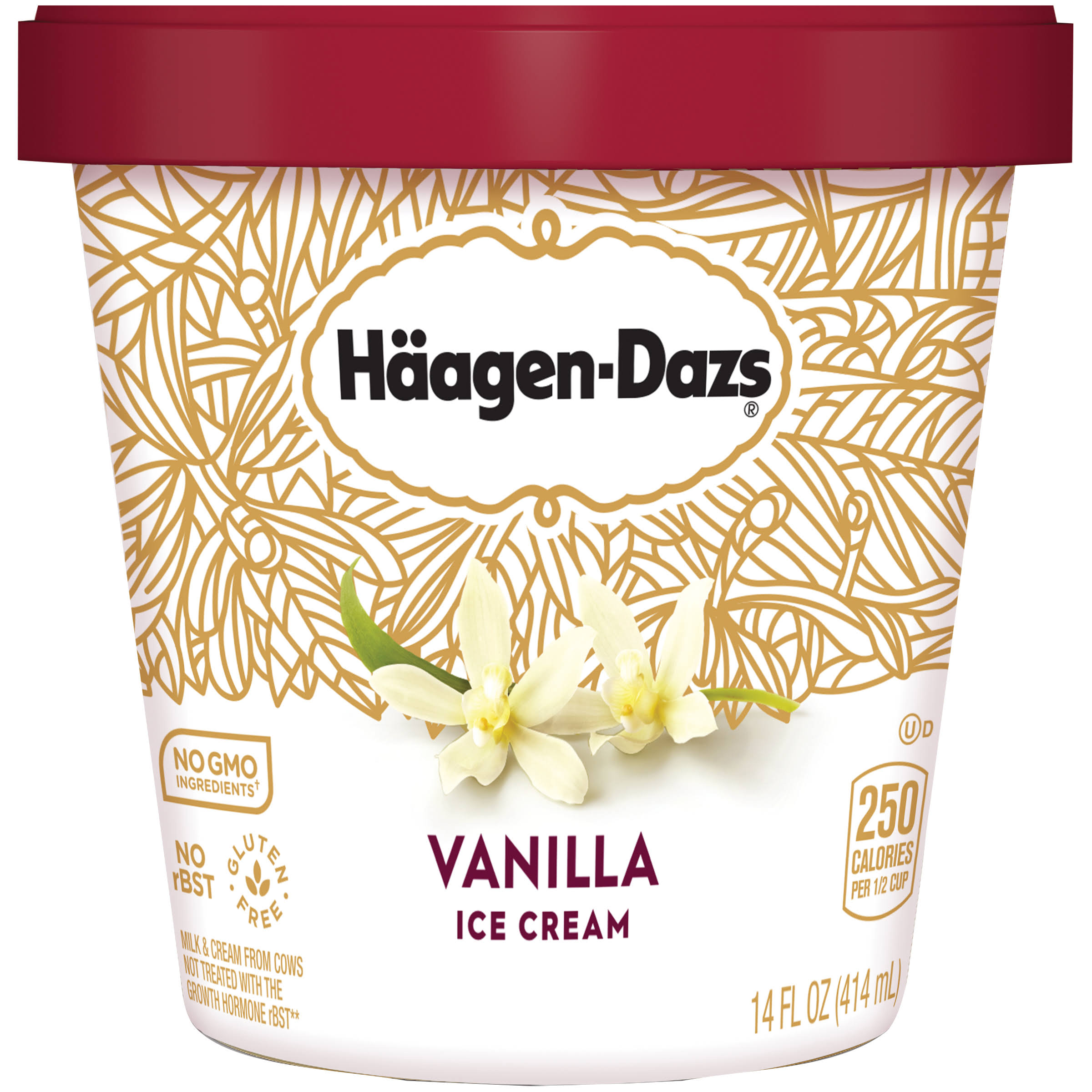 Häagen-Dazs Vanilla Ice Cream - 14oz