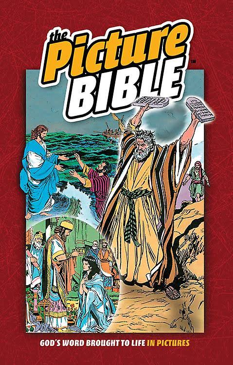 The Picture Bible [Book]