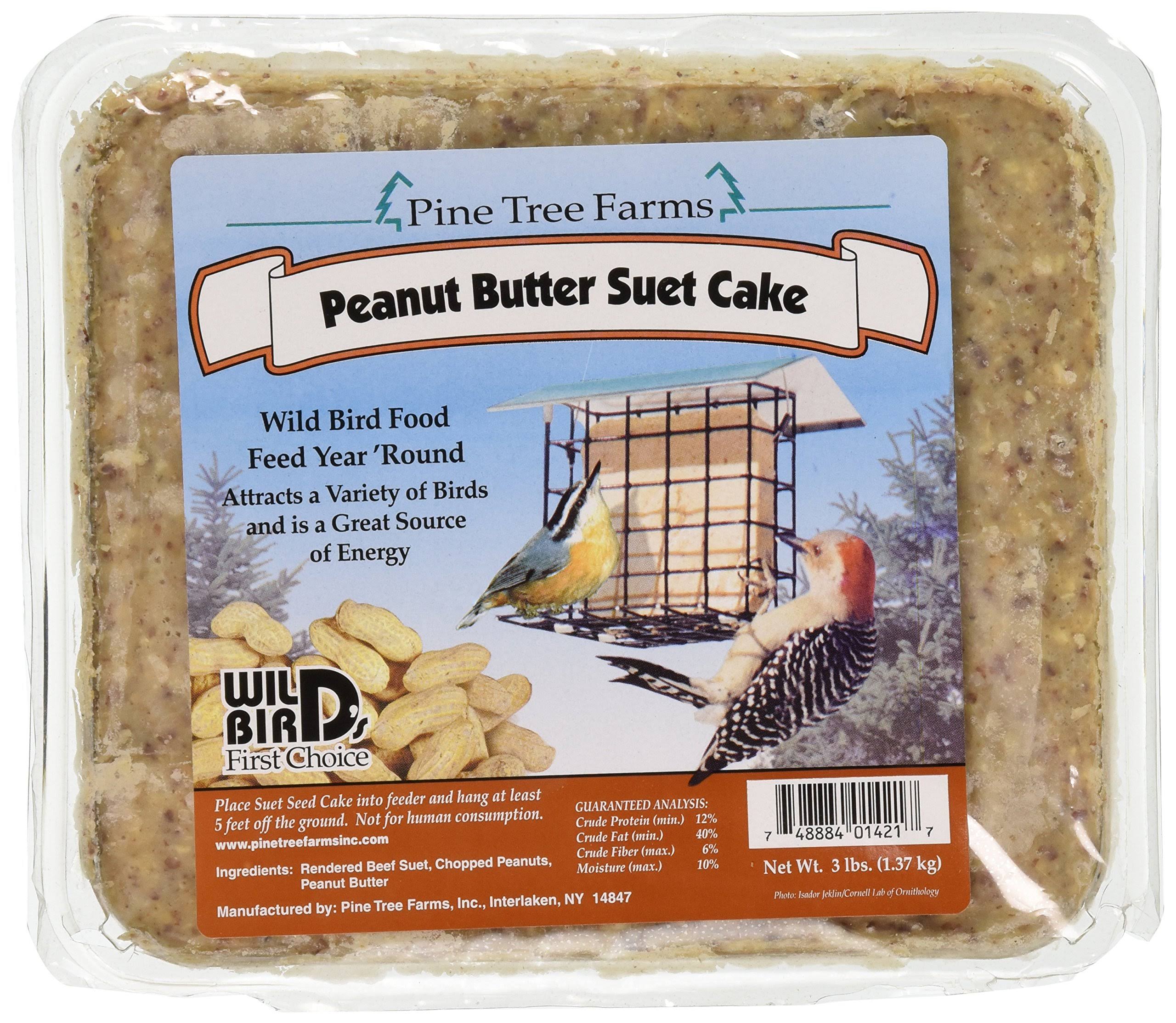 Pine Tree Peanut Butter Wild Bird Suet Cake - 3lbs
