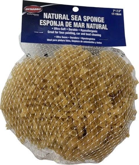Dynamic 00008 Natural Sea Sponge 7 inch - 7.5 inch (17-19cm)