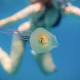 Meet the fish that's taken control of a jellyfish in Byron waters 