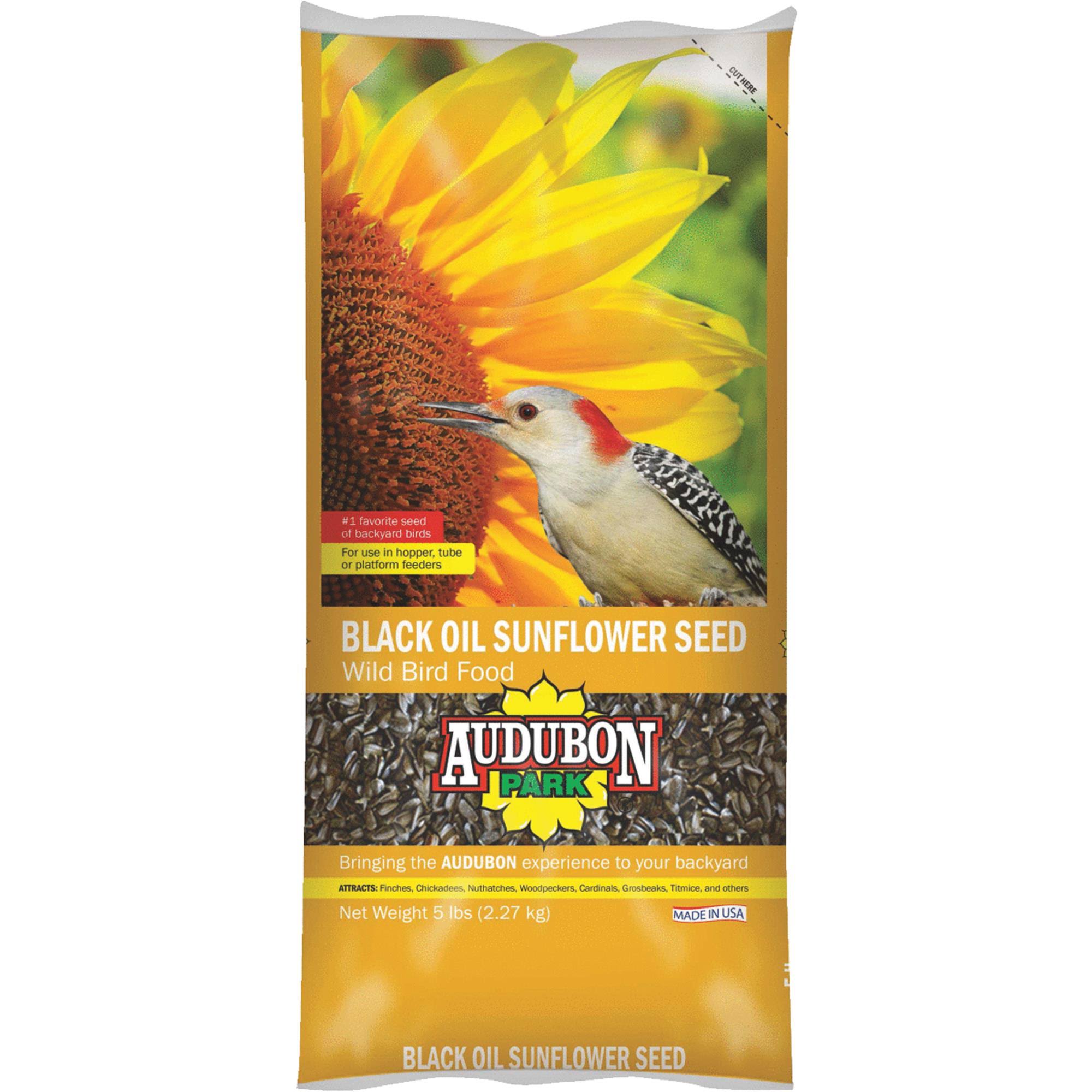 Audubon Park Black Oil Sunflower Seed - 5lbs