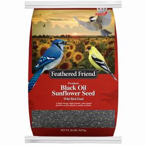 Feathered Friend 14197 Black Oil Sunflower Seed Wild Bird Food 20-Lb. Bag