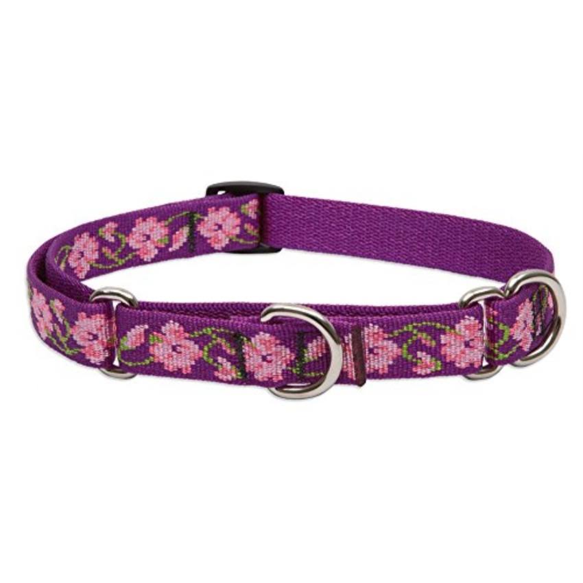 LupinePet Originals 3/4 Rose Garden 10-14 Martingale Collar for Small Dogs
