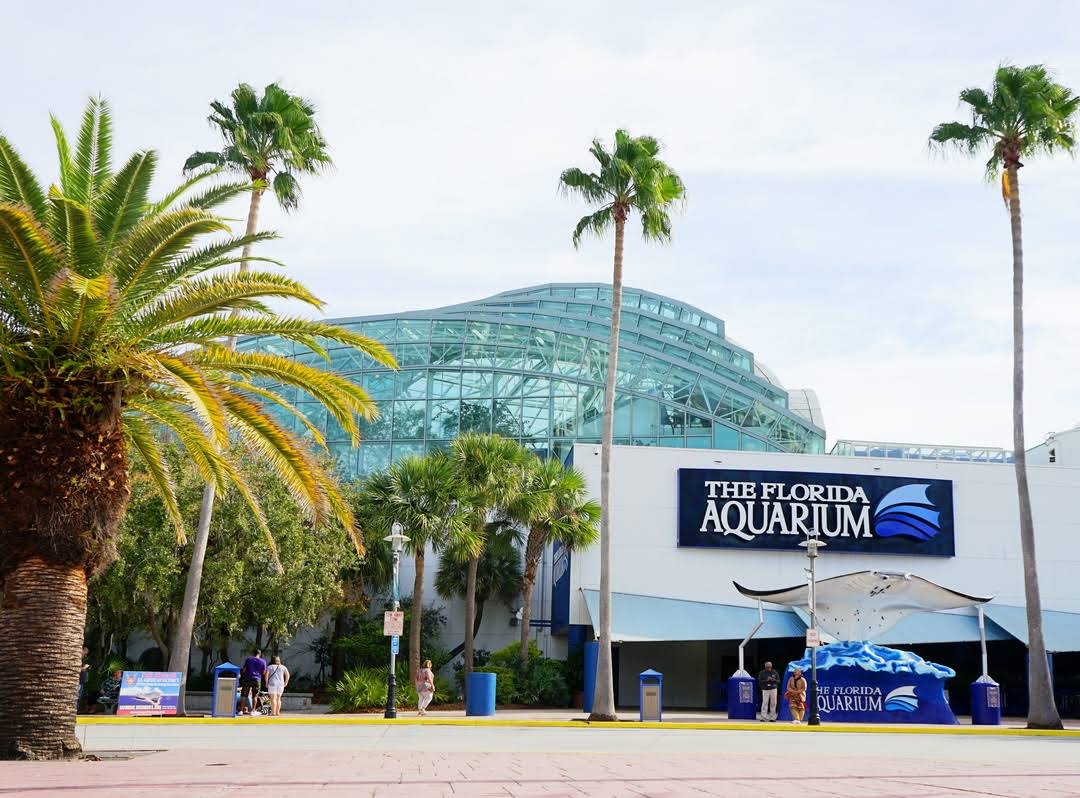 The Florida Aquarium image