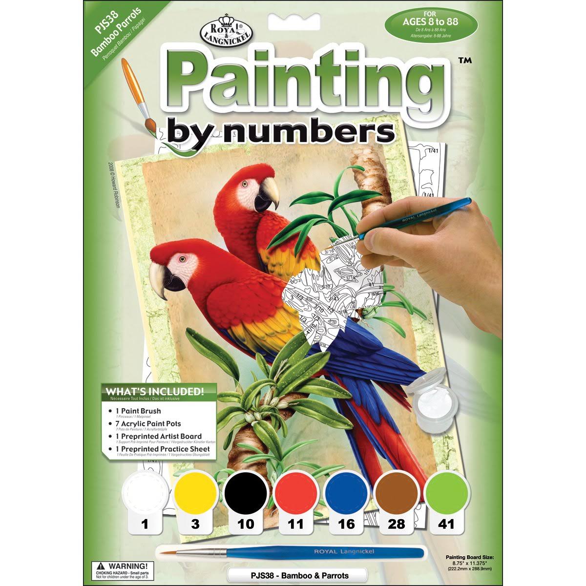 Royal Brush Junior Small Paint by Number Kit - Bamboo and Parrots